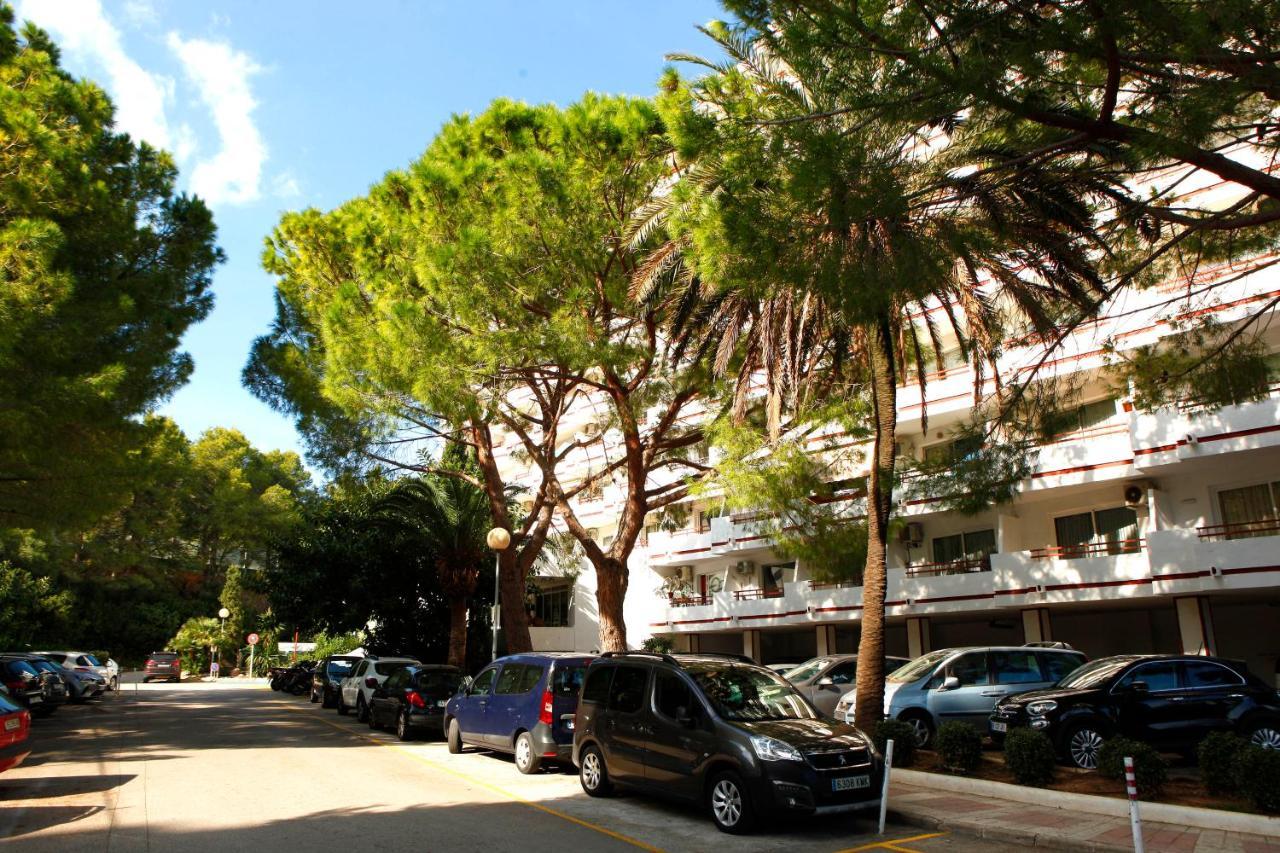 Poma Apartment Alcúdia